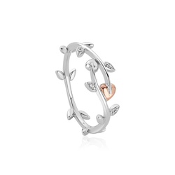 Clogau Gold Vine of Life Silver Ring - Size P - 3STOL0236