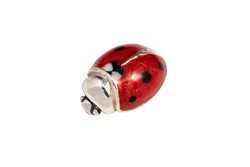 Ladybird, Miniature - 12598VS